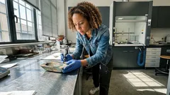 Il lingotto che riscrive le rotte: dalla Spagna al Baltico 2.500 anni fa