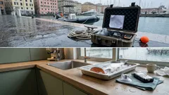 Orche e delfini fanno squadra: la caccia cooperativa al salmone Chinook spiegata dallo studio 2025