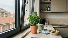 Mosche in casa? Il basilico in vaso può aiutare: dove metterlo e come curarlo