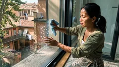 Cosa significa un uccello alla finestra secondo il Feng Shui e cosa fare subito