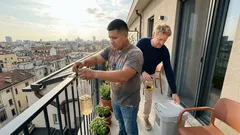 Bottiglia d’acqua appesa al balcone: funziona davvero contro mosche, zanzare e piccioni?